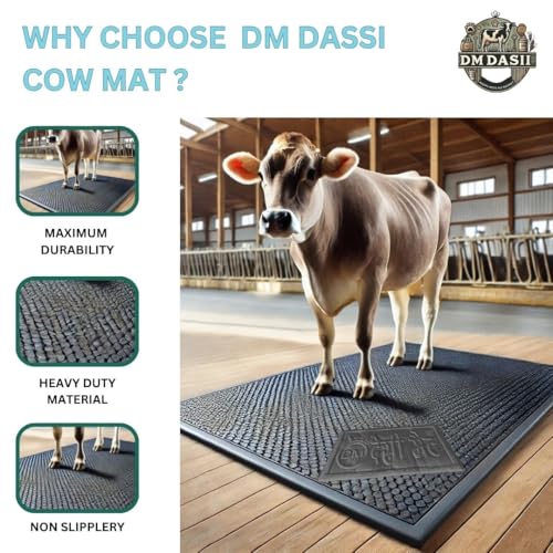 DM DASII Premium EVA Cow