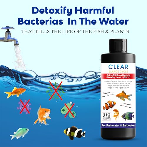 Beyond Fill Automatic Fish Tank