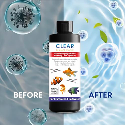 Beyond Fill Automatic Fish Tank