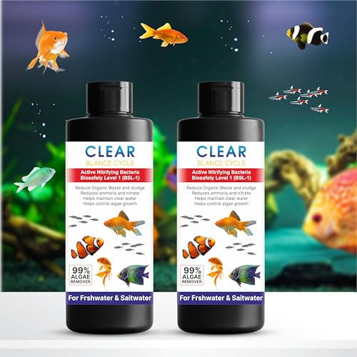 Beyond Fill Automatic Fish Tank