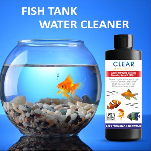 Beyond Fill Automatic Fish Tank
