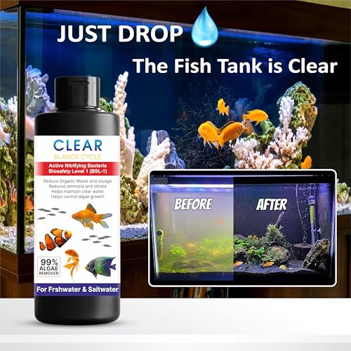 Beyond Fill Automatic Fish Tank