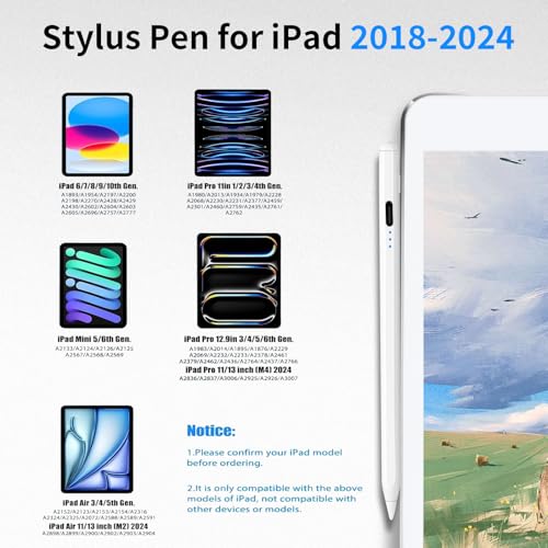 WeCool P1 iPad Pencil