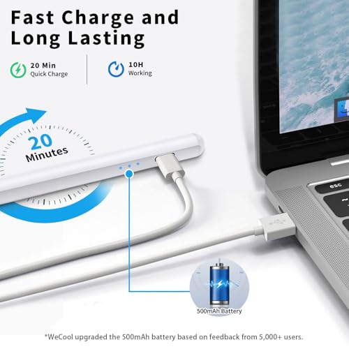 WeCool P1 iPad Pencil