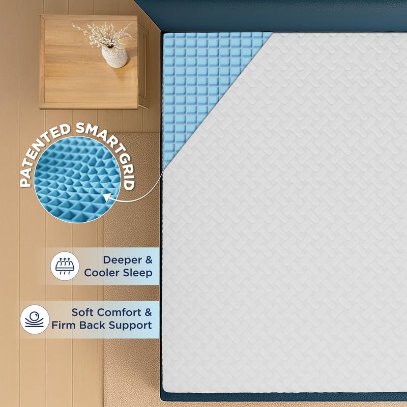 The Sleep Company Orthopedic GRID