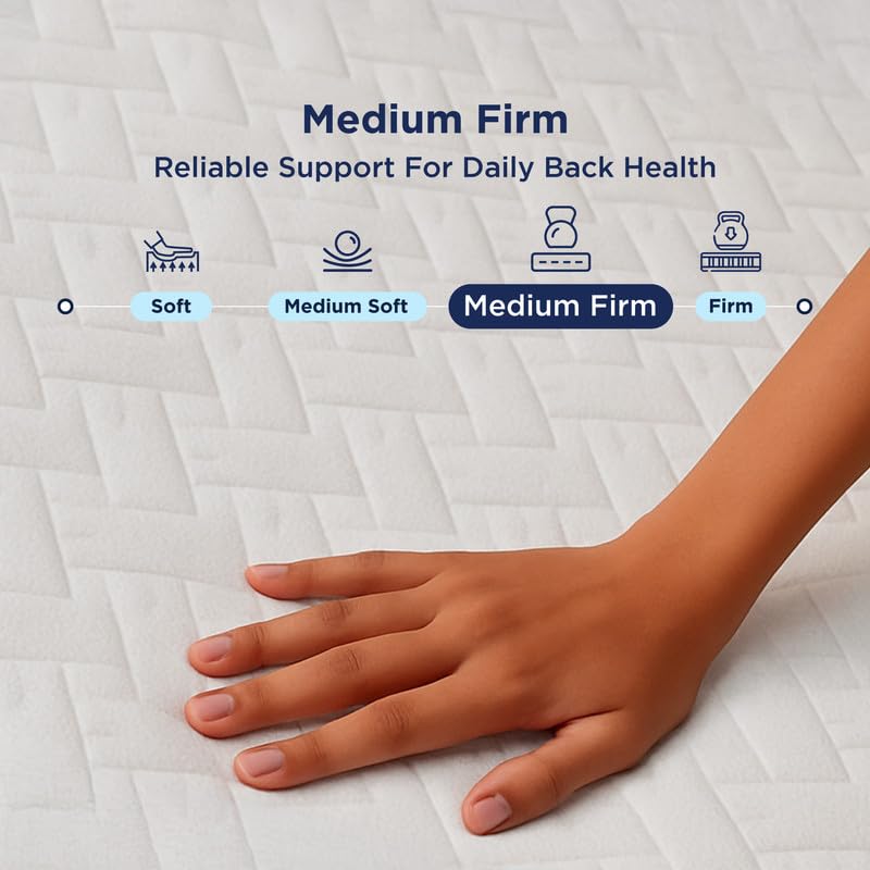 The Sleep Company Orthopedic GRID