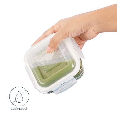 Gracia Borosilicate Glass Lunchbox