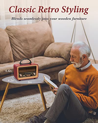 PRUNUS J-170 Retro Vintage Radio