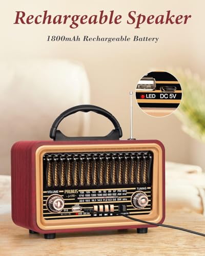 PRUNUS J-170 Retro Vintage Radio