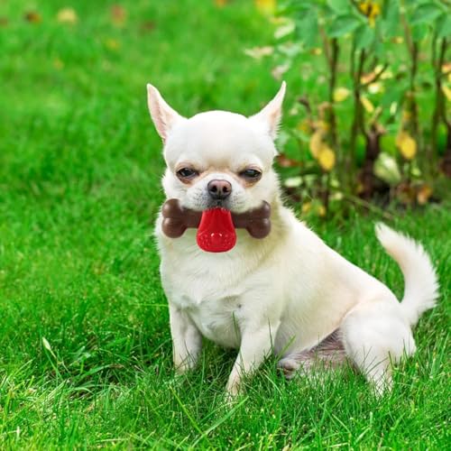 PremiumAV Puppy Squeaky Chew Toy