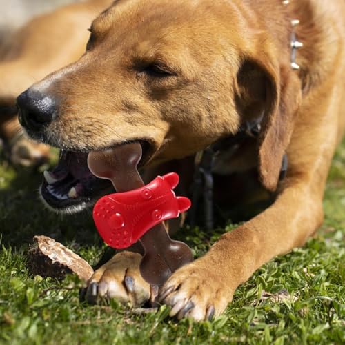 PremiumAV Puppy Squeaky Chew Toy