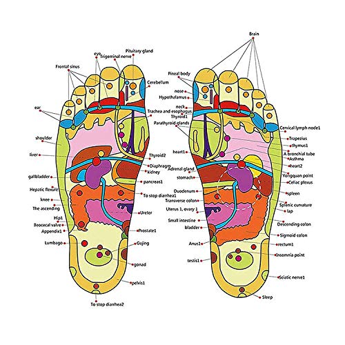 Manual Spring Acupressure and Magnetic