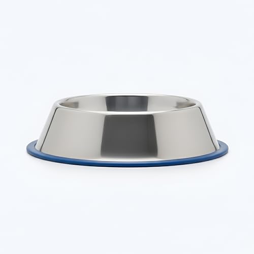 Ezra Comfort Stainless Steel Dog