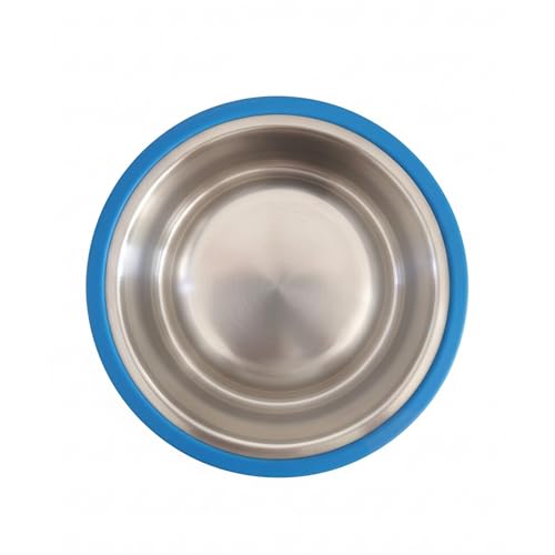 Ezra Comfort Stainless Steel Dog