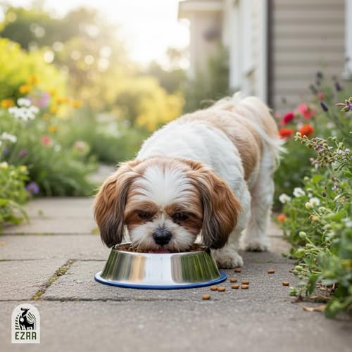 Ezra Comfort Stainless Steel Dog