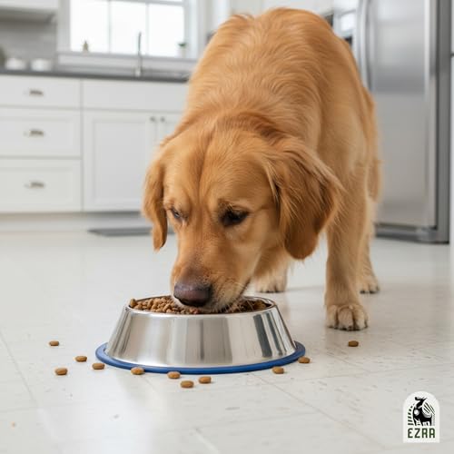 Ezra Comfort Stainless Steel Dog
