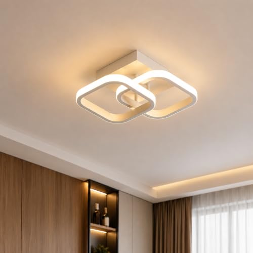 Desidiya 22W Modern LED Ceiling