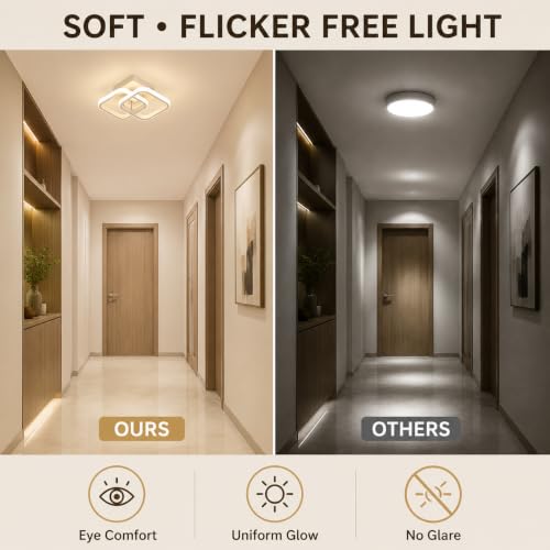 Desidiya 22W Modern LED Ceiling