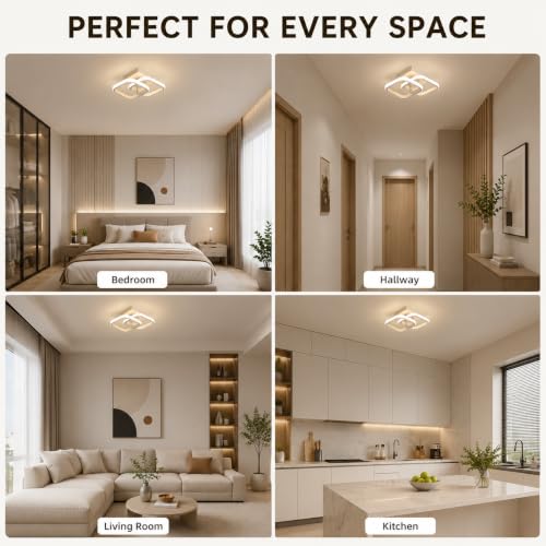 Desidiya 22W Modern LED Ceiling