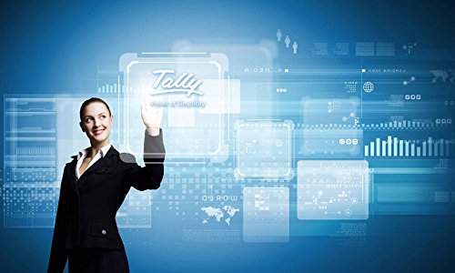 Tally.ERP 9 Silver GST Ready- Single User (Activation Key Card) - Image 4
