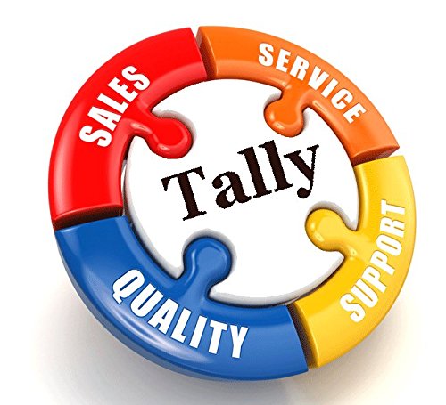 Tally.ERP 9 Silver GST Ready- Single User (Activation Key Card) - Image 7