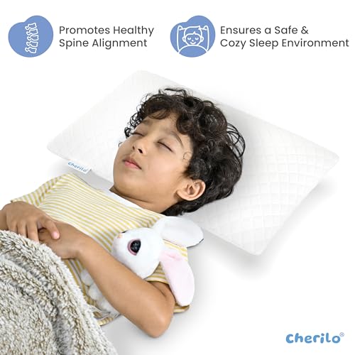 Cherilo Adjustable Microfiber Sleeping Pillow