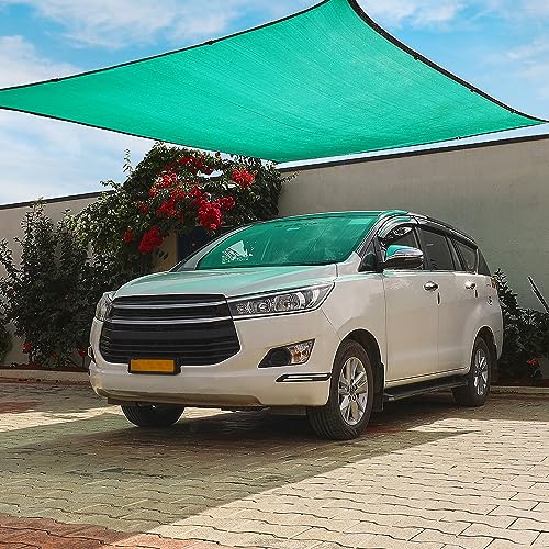 Amazon Brand - Solimo High