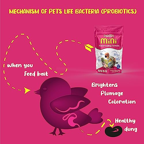Petslife Mini Hand Feeding Formula