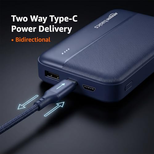 Amazon Basics 20000 mAh Power