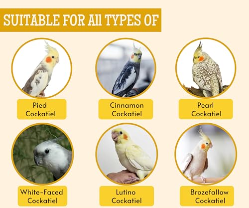 Foodie Puppies Bird Food
