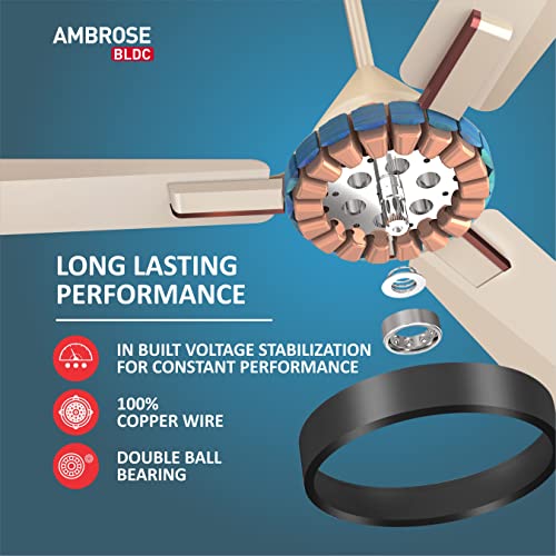 Havells 1200mm Ambrose BLDC Motor