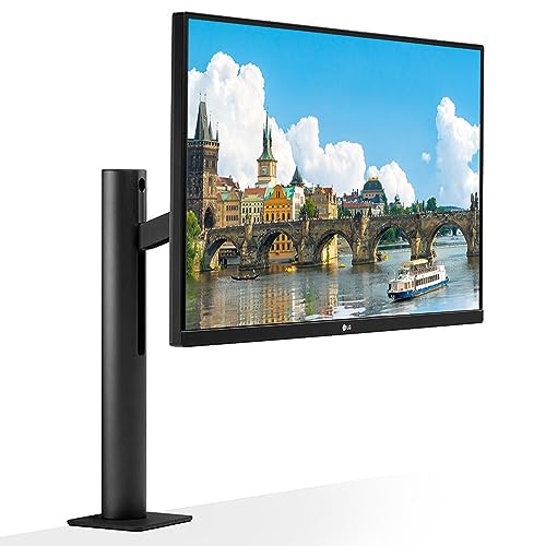 LG 27" QHD Ergo IPS