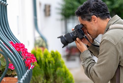 Nikon NIKKOR Z 50mm f/1.4 - Image 4