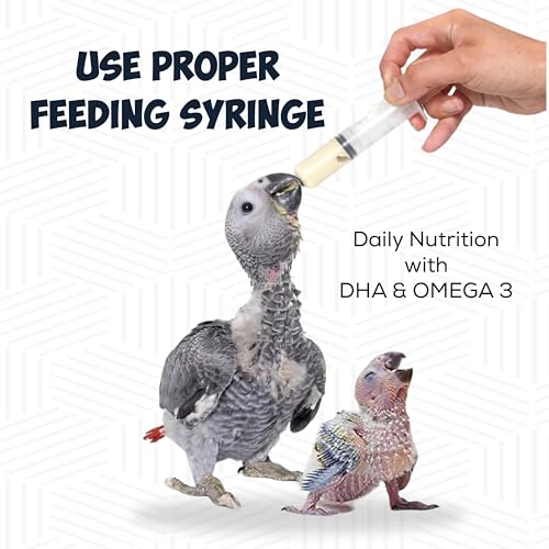 Petslife Baby Hand-Feeding Bird Food Seeds, 500G - Image 4