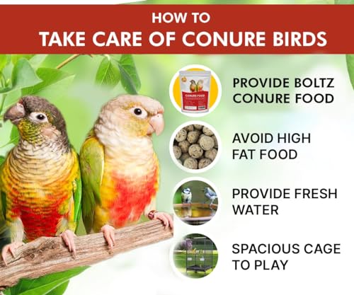 Boltz Best Bird Food