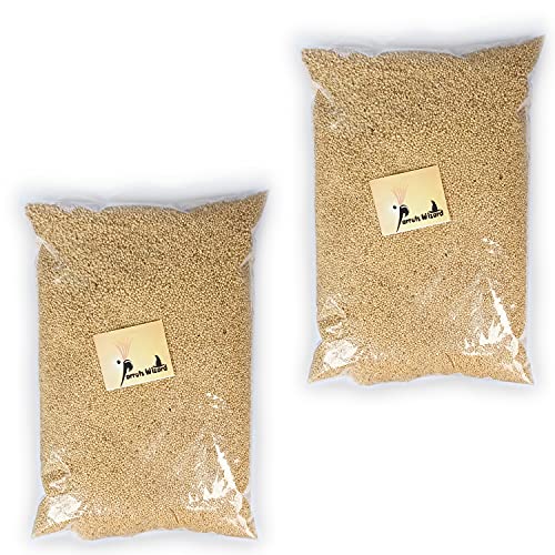 Kangni Seed Bird Food, Small Size [1900 Gram]