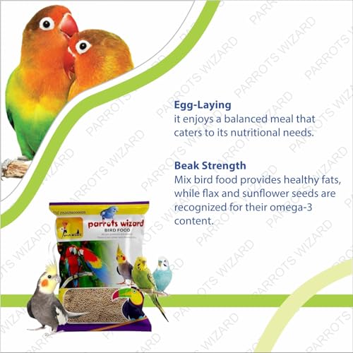 Kangni Seed Bird Food, Small Size [1900 Gram] - Image 3