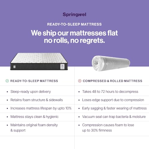 Springwel Dualis 2-in-1 Reversible 6
