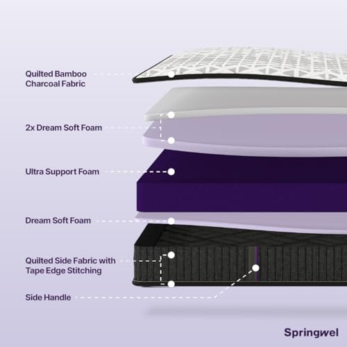 Springwel Dualis 2-in-1 Reversible 6