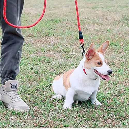 Reflective Adjustable Pet Leash