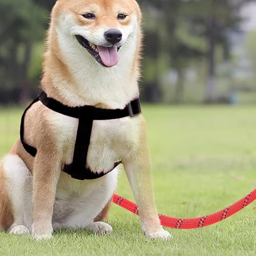 Reflective Adjustable Pet Leash