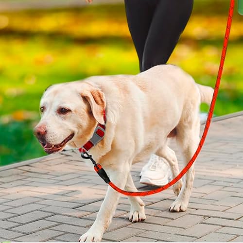 Reflective Adjustable Pet Leash