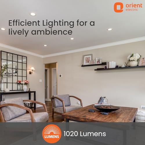 Orient Electric Moonlite 12W LED
