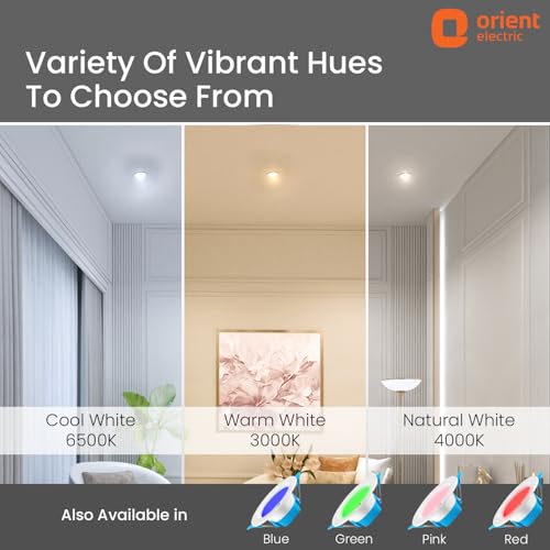 Orient Electric Moonlite 12W LED
