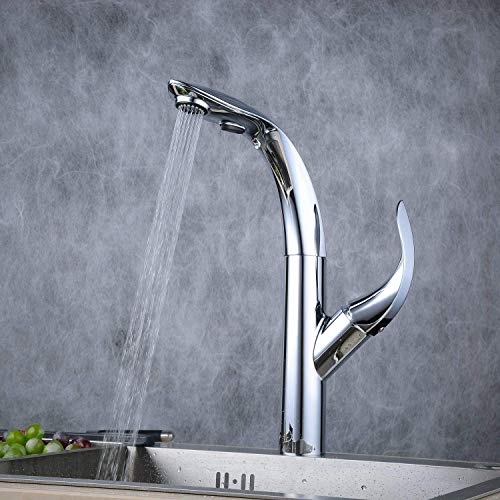 ALTON TSL18025 Single Lever Kitchen