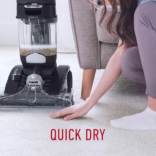 Hoover Platinum Power Max Carpet