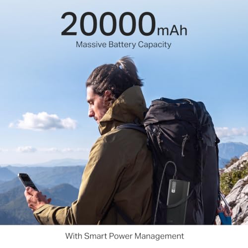 boAt Energyshroom PB401 20000 mAh