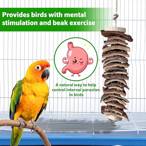 CONGO - NATURAL PARROT TREAT