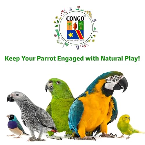 CONGO - NATURAL PARROT TREAT