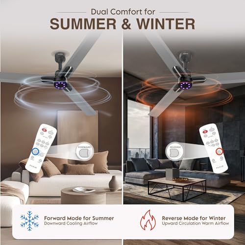 Polycab Wizzy Neo LED 2.0